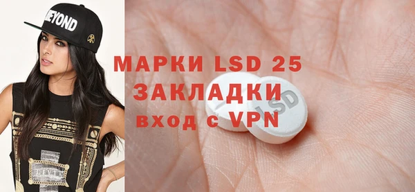 индика Баксан