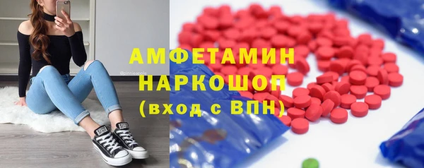 индика Баксан