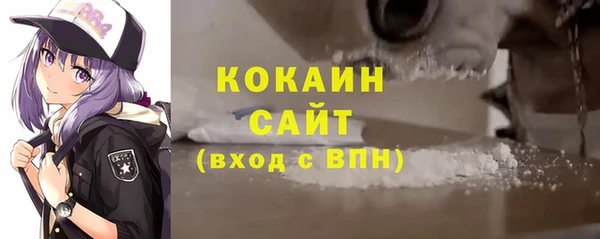 индика Баксан