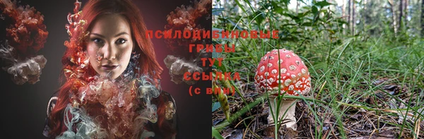 индика Баксан