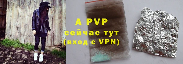 индика Баксан