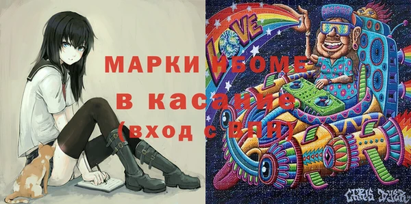 индика Баксан