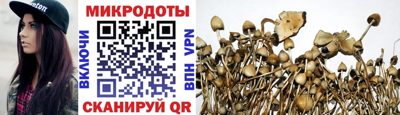 Псилоцибиновые грибы мицелий blacksprut рабочий сайт Белово